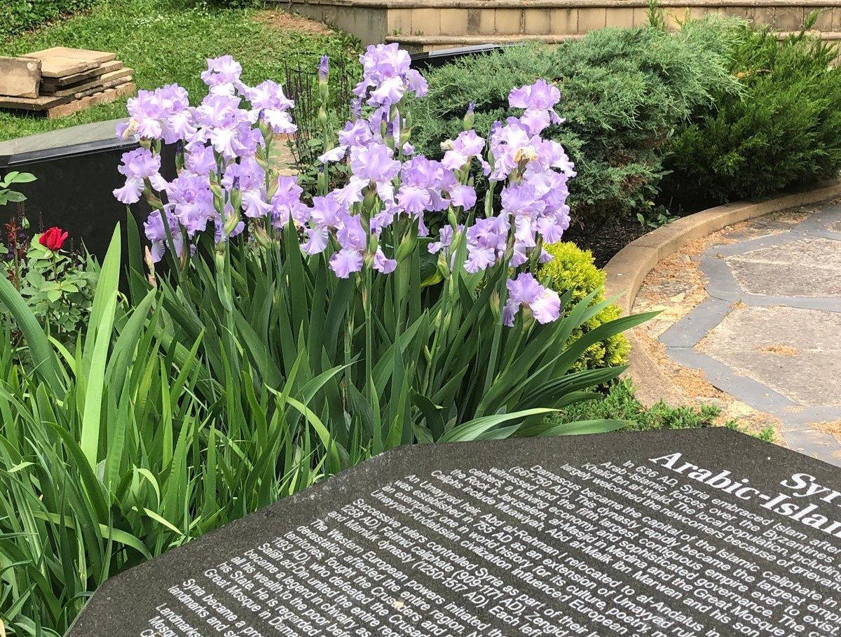 About The Garden 17682436433222