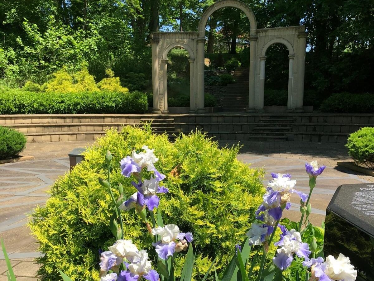 About The Garden 17682436433388