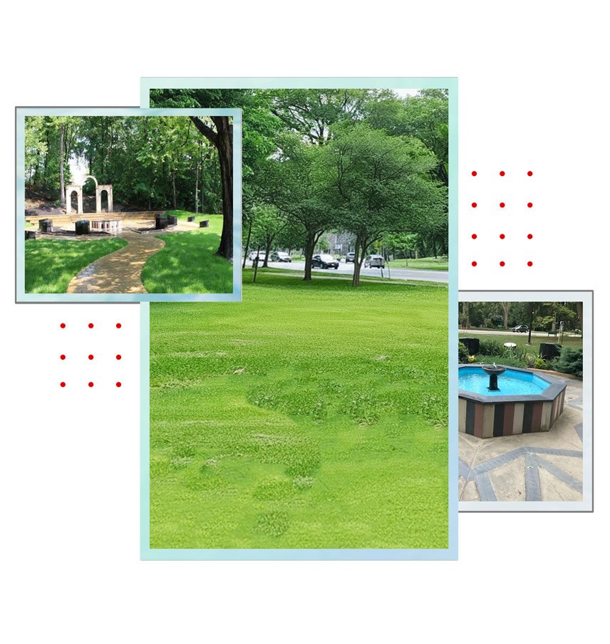 00003 rec pic 3d back